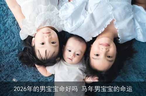 2026年的男宝宝命好吗 马年男宝宝的命运 2026年的男宝宝命好吗 马年男宝宝的命运