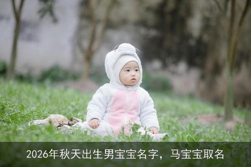 2026年秋天出生男宝宝名字,马宝宝取名 2026年秋天出生男宝宝名字,马宝宝取名