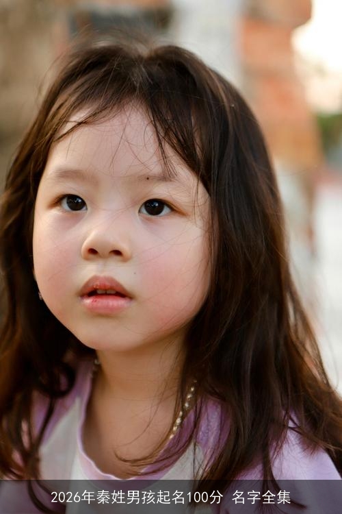 2026年秦姓男孩起名100分 名字全集 2026年秦姓男孩起名100分 名字全集