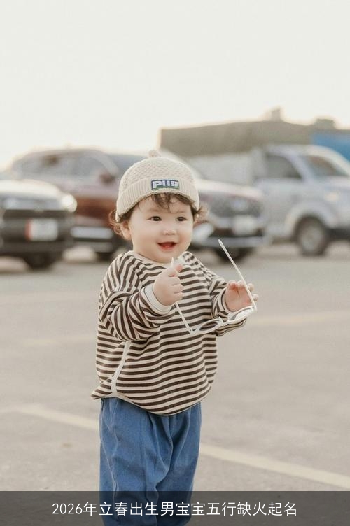 2026年立春出生男宝宝五行缺火起名 2026年立春出生男宝宝五行缺火起名
