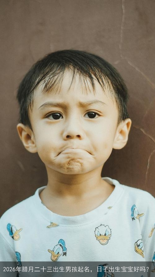 2026年腊月二十三出生男孩起名,日子出生宝宝好吗? 2026年腊月二十三出生男孩起名,日子出生宝宝好吗?