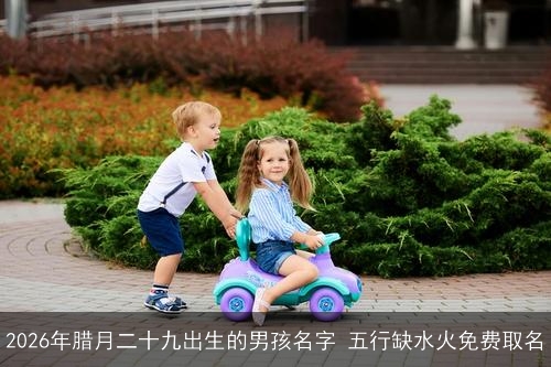 2026年腊月二十九出生的男孩名字 五行缺水火免费取名 2026年腊月二十九出生的男孩名字 五行缺水火免费取名