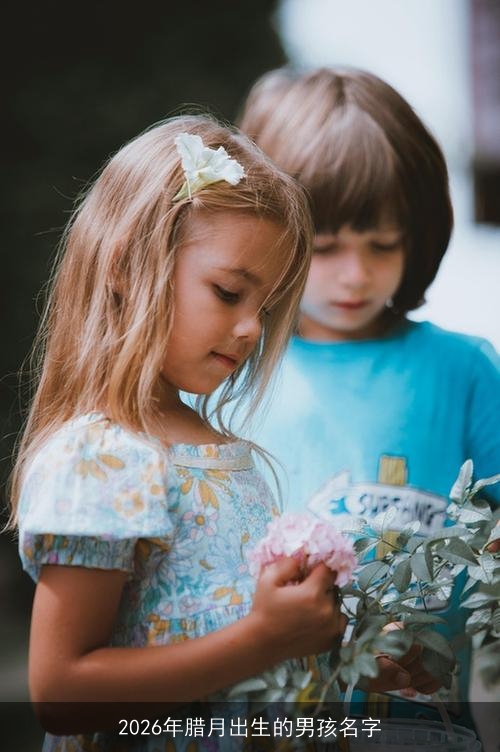 2026年腊月出生的男孩名字 2026年腊月出生的男孩名字