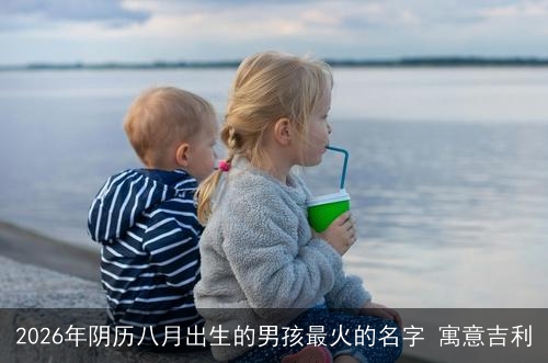2026年阴历八月出生的男孩最火的名字 寓意吉利 2026年阴历八月出生的男孩最火的名字 寓意吉利