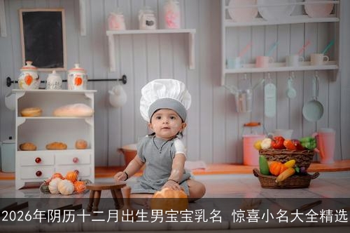 2026年阴历十二月出生男宝宝乳名 惊喜小名大全精选 2026年阴历十二月出生男宝宝乳名 惊喜小名大全精选