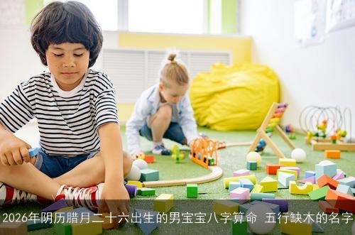 2026年阴历腊月二十六出生的男宝宝八字算命 五行缺木的名字 2026年阴历腊月二十六出生的男宝宝八字算命 五行缺木的名字
