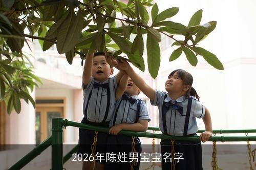 2026年陈姓男宝宝名字 2026年陈姓男宝宝名字