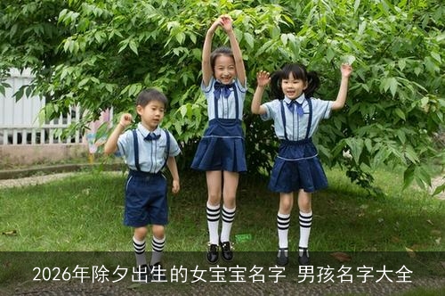 2026年除夕出生的女宝宝名字 男孩名字大全 2026年除夕出生的女宝宝名字 男孩名字大全