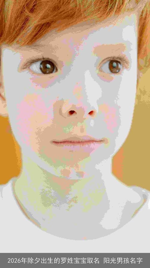 2026年除夕出生的罗姓宝宝取名 阳光男孩名字 2026年除夕出生的罗姓宝宝取名 阳光男孩名字