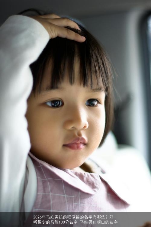 2026年马姓男孩前程似锦的名字有哪些?好听稀少的马姓100分名字_马姓男孩顺口的名字 2026年马姓男孩前程似锦的名字有哪些?好听稀少的马姓100分名字_马姓男孩顺口的名字