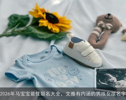 2026年马宝宝最佳取名大全,文雅有内涵的男孩女孩名字 2026年马宝宝最佳取名大全,文雅有内涵的男孩女孩名字