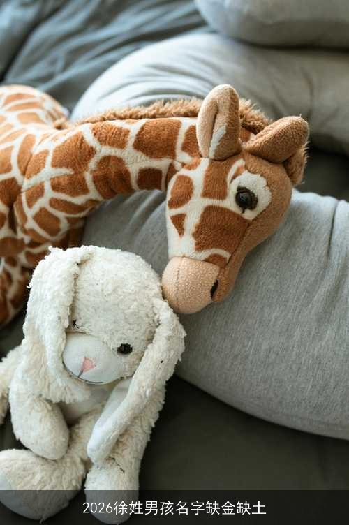 2026徐姓男孩名字缺金缺土 2026徐姓男孩名字缺金缺土