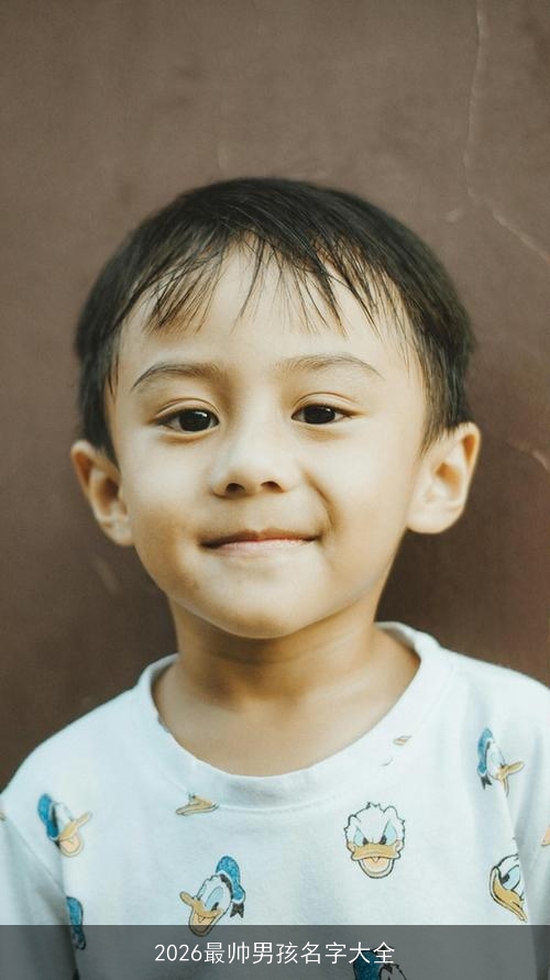 2026最帅男孩名字大全 2026最帅男孩名字大全