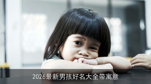 2026最新男孩好名大全带寓意 2026最新男孩好名大全带寓意