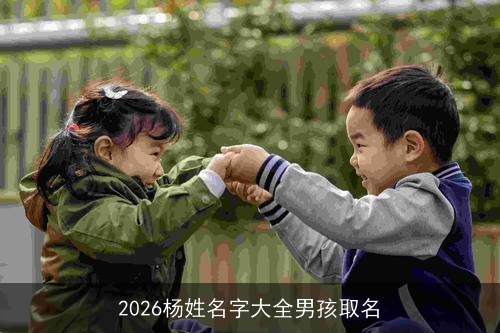 2026杨姓名字大全男孩取名 2026杨姓名字大全男孩取名