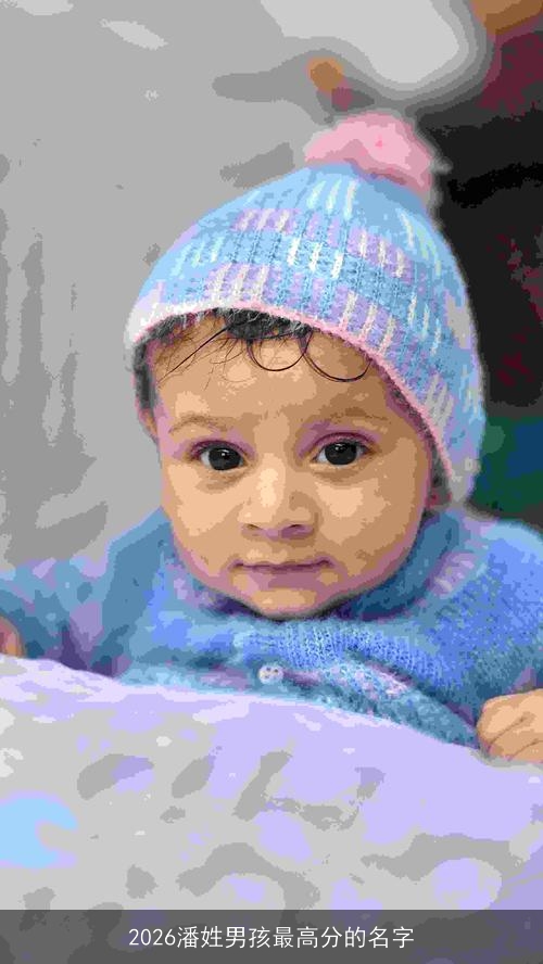 2026潘姓男孩最高分的名字 2026潘姓男孩最高分的名字