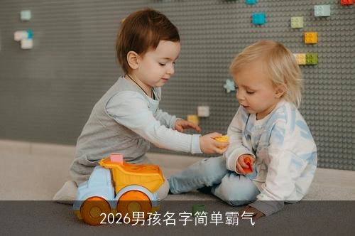 2026男孩名字简单霸气 2026男孩名字简单霸气