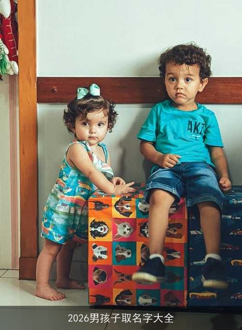 2026男孩子取名字大全 2026男孩子取名字大全