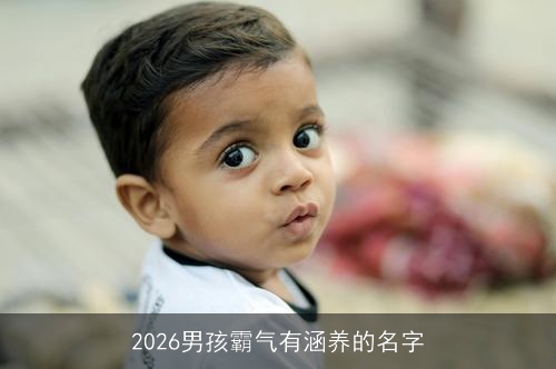 2026男孩霸气有涵养的名字 2026男孩霸气有涵养的名字