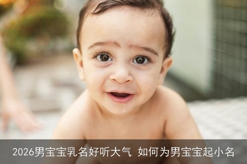 2026男宝宝乳名好听大气 如何为男宝宝起小名 2026男宝宝乳名好听大气 如何为男宝宝起小名
