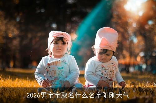 2026男宝宝取名什么名字阳刚大气 2026男宝宝取名什么名字阳刚大气