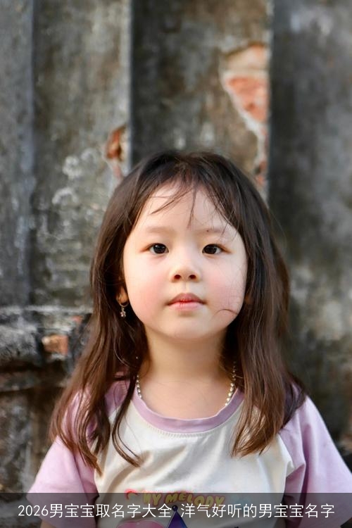 2026男宝宝取名字大全 洋气好听的男宝宝名字 2026男宝宝取名字大全 洋气好听的男宝宝名字