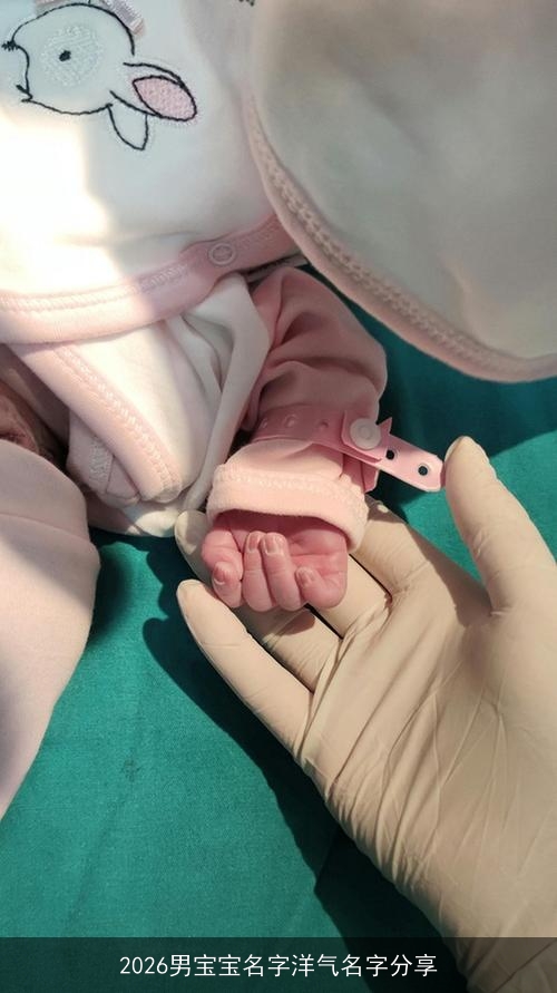 2026男宝宝名字洋气名字分享 2026男宝宝名字洋气名字分享