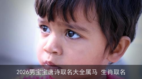 2026男宝宝唐诗取名大全属马 生肖取名 2026男宝宝唐诗取名大全属马 生肖取名
