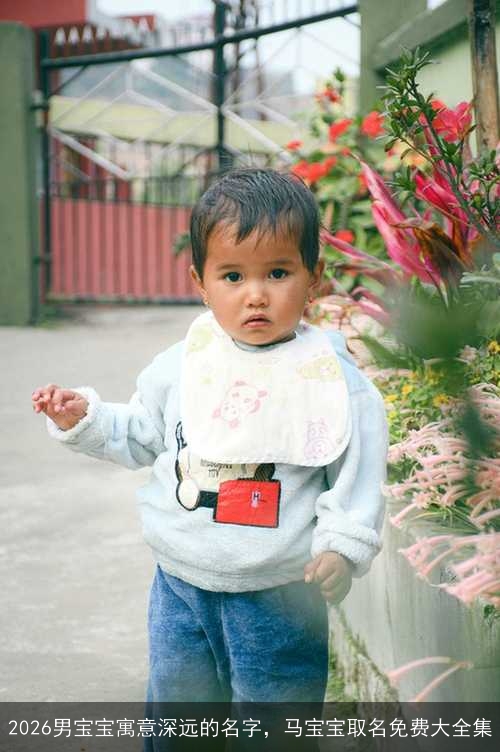 2026男宝宝寓意深远的名字,马宝宝取名免费大全集 2026男宝宝寓意深远的名字,马宝宝取名免费大全集