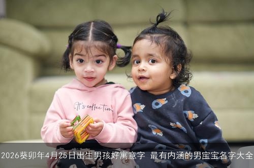 2026葵卯年4月25日出生男孩好寓意字 最有内涵的男宝宝名字大全 2026葵卯年4月25日出生男孩好寓意字 最有内涵的男宝宝名字大全