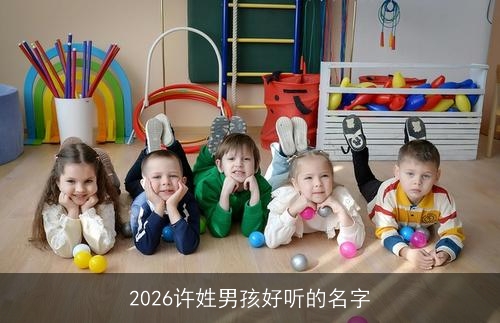 2026许姓男孩好听的名字 2026许姓男孩好听的名字