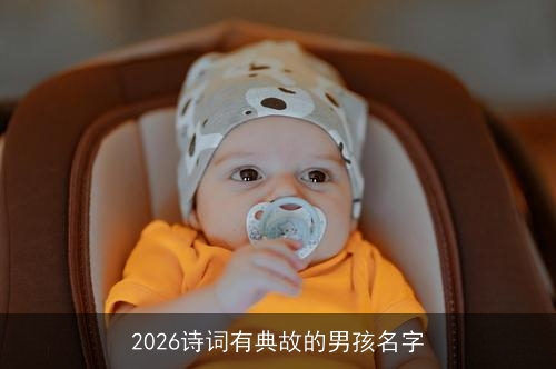 2026诗词有典故的男孩名字 2026诗词有典故的男孩名字