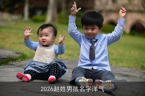 2026赵姓男孩名字洋气 2026赵姓男孩名字洋气