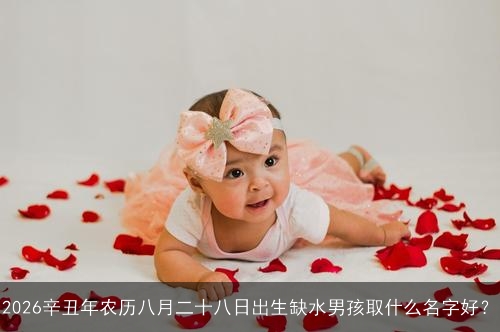 2026辛丑年农历八月二十八日出生缺水男孩取什么名字好? 2026辛丑年农历八月二十八日出生缺水男孩取什么名字好?