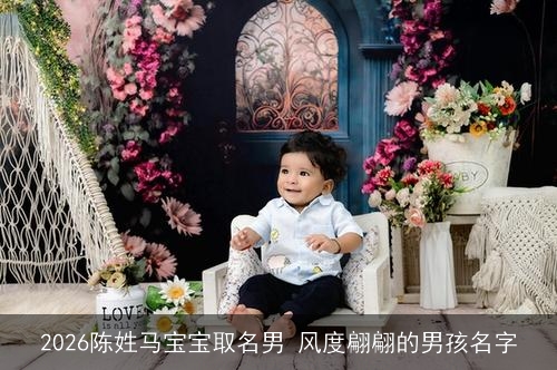 2026陈姓马宝宝取名男 风度翩翩的男孩名字 2026陈姓马宝宝取名男 风度翩翩的男孩名字