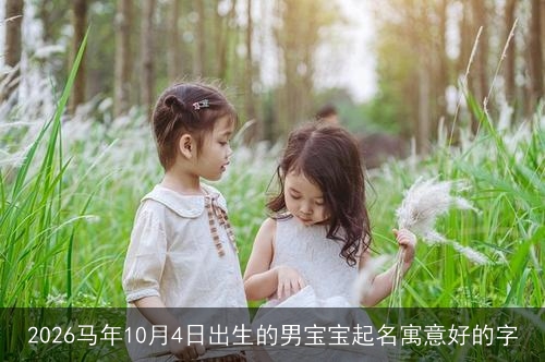 2026马年10月4日出生的男宝宝起名寓意好的字 2026马年10月4日出生的男宝宝起名寓意好的字
