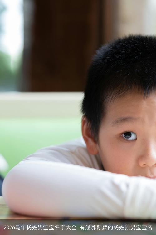2026马年杨姓男宝宝名字大全 有涵养新颖的杨姓鼠男宝宝名 2026马年杨姓男宝宝名字大全 有涵养新颖的杨姓鼠男宝宝名