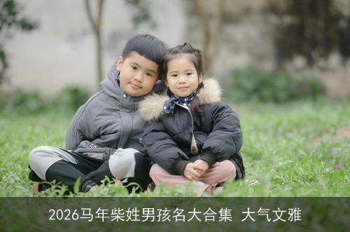 2026马年柴姓男孩名大合集 大气文雅 2026马年柴姓男孩名大合集 大气文雅
