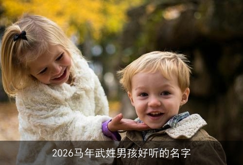 2026马年武姓男孩好听的名字 2026马年武姓男孩好听的名字