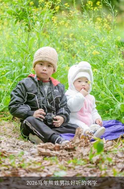 2026马年熊姓男孩好听的名字 2026马年熊姓男孩好听的名字