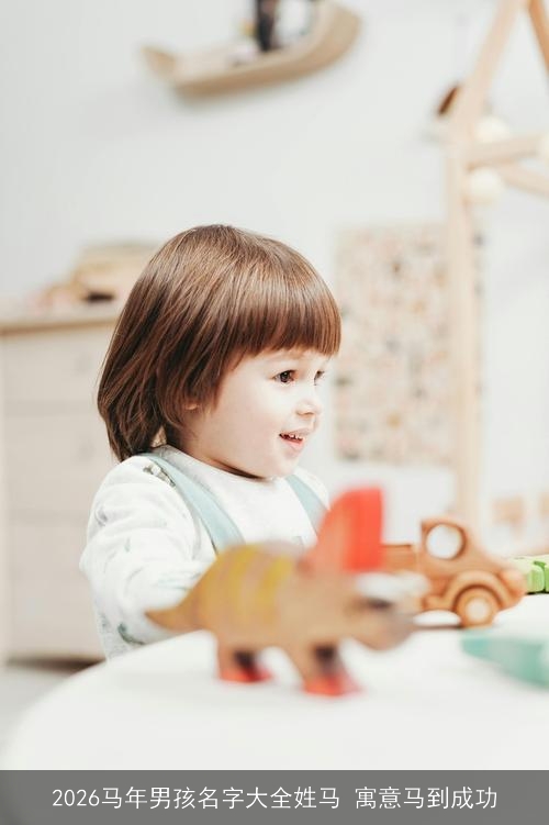 2026马年男孩名字大全姓马 寓意马到成功 2026马年男孩名字大全姓马 寓意马到成功