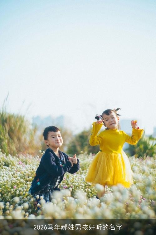 2026马年郝姓男孩好听的名字 2026马年郝姓男孩好听的名字