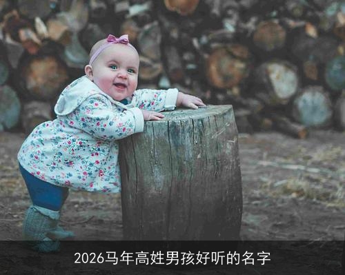 2026马年高姓男孩好听的名字 2026马年高姓男孩好听的名字