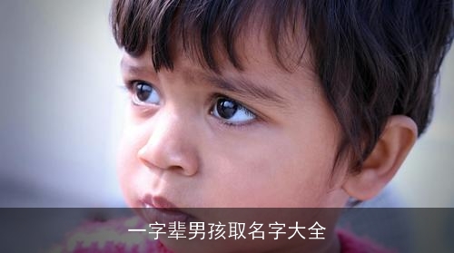 一字辈男孩取名字大全 一字辈男孩取名字大全