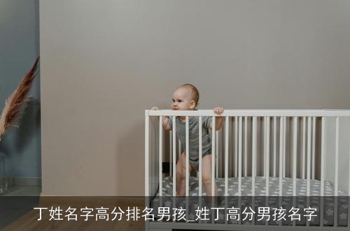 丁姓名字高分排名男孩_姓丁高分男孩名字 丁姓名字高分排名男孩_姓丁高分男孩名字