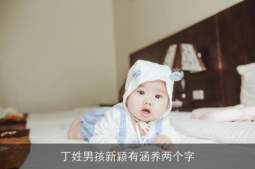 丁姓男孩新颖有涵养两个字 丁姓男孩新颖有涵养两个字