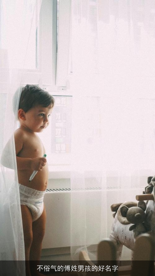 不俗气的傅姓男孩的好名字 不俗气的傅姓男孩的好名字