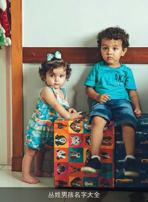 丛姓男孩名字大全 丛姓男孩名字大全