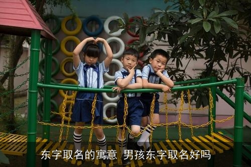 东字取名的寓意 男孩东字取名好吗 东字取名的寓意 男孩东字取名好吗