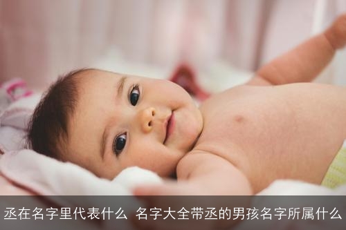丞在名字里代表什么 名字大全带丞的男孩名字所属什么 丞在名字里代表什么 名字大全带丞的男孩名字所属什么